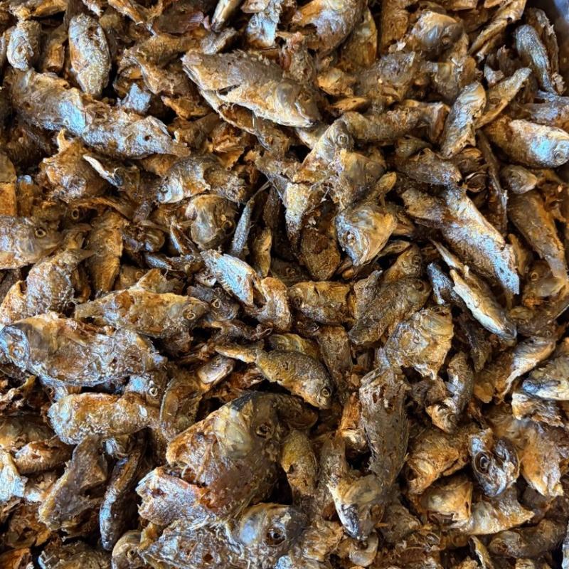 DRIED FISH & FRUITS