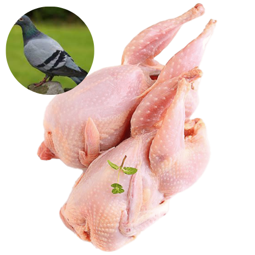 BABY PIGEON - MEAT (3.0LBS) image 0