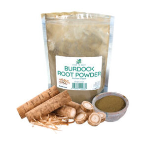 Burdock Root Powder – 4 oz.
