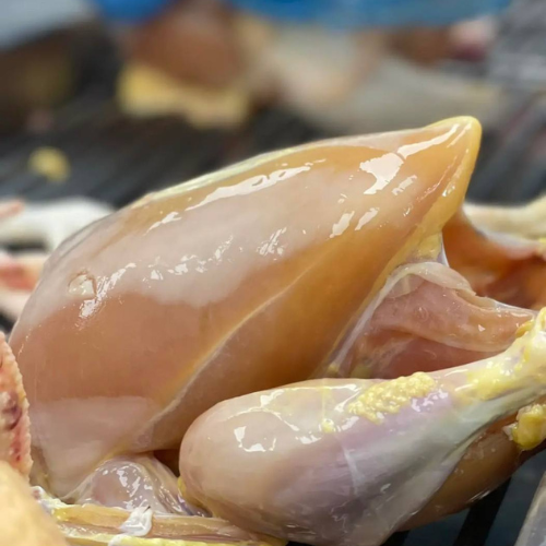 WHITE CHICKEN WITHOUT SKIN – MEAT (3.0LBS)