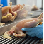 RED CHICKEN WITHOUT SKIN – MEAT (3.0LBS)