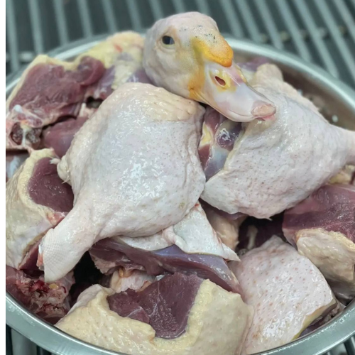 DUCK – MEAT (3.0LBS)