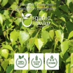 Organic Birch Leaf Whole – Usda Certified | Origin – Albania