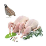 QUAL – MEAT (3.0LBS)