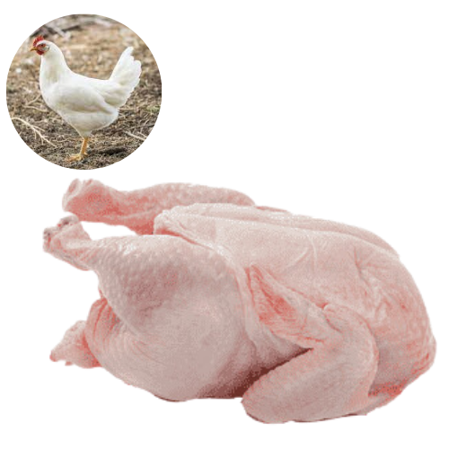 WHITE CHICKEN – MEAT (3.0LBS)