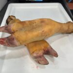 GOAT LEG