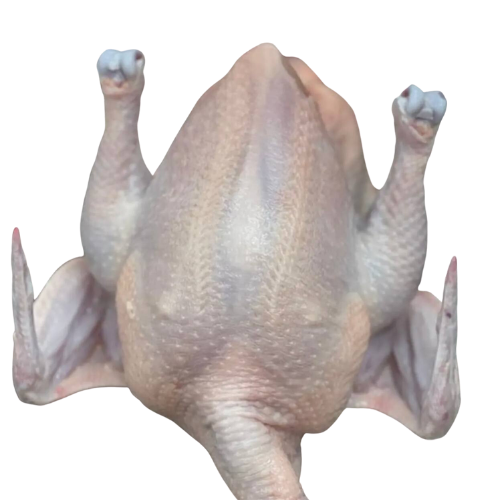 WHITE CHICKEN – MEAT (3.0LBS)
