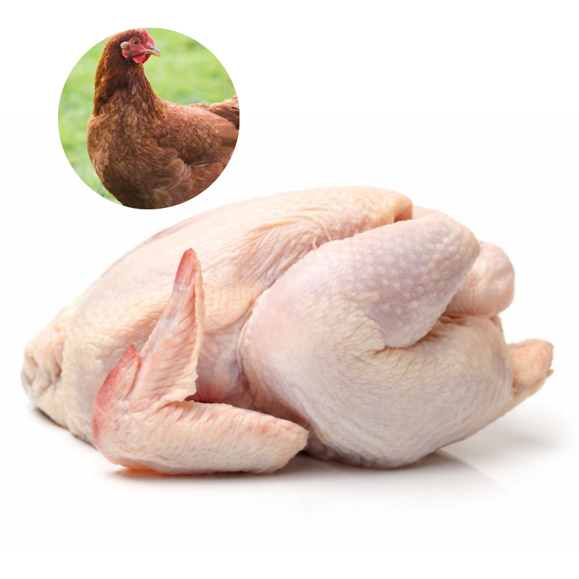 RED FEMALE CHICKEN – MEAT (3.0LBS)