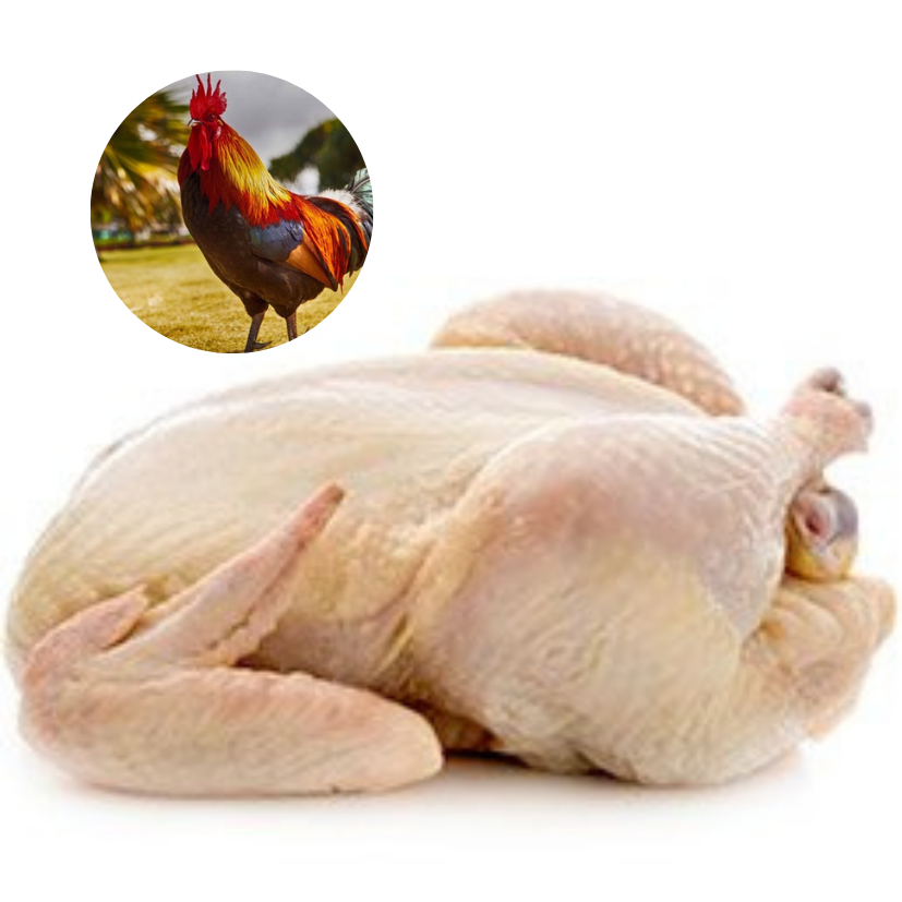 RED MALE CHICKEN – MEAT (3.0LBS)