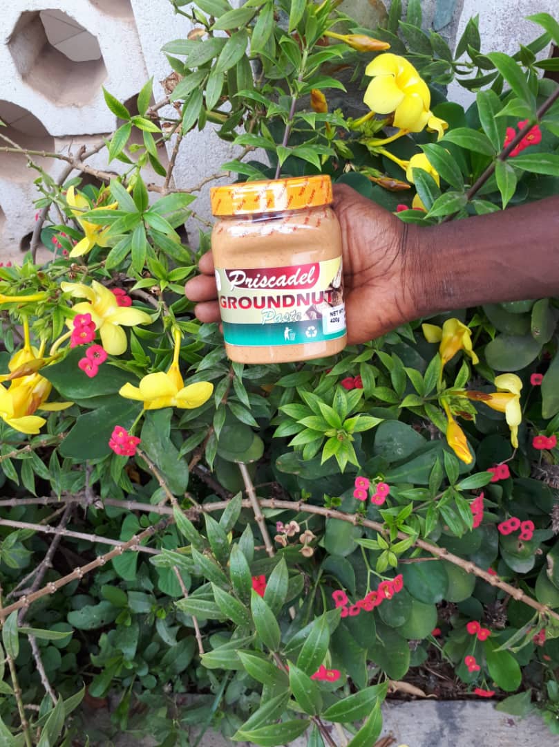 PRISCADEL GROUNDNUT PASTE – 420G