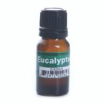 Eucalyptus Essential Oil – 1/3 oz.
