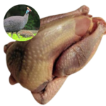 GUINEA HEN – MEAT (3.0LBS)