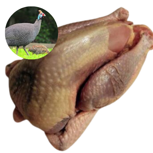 GUINEA HEN – MEAT (3.0LBS)