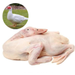 DUCK – MEAT (3.0LBS)