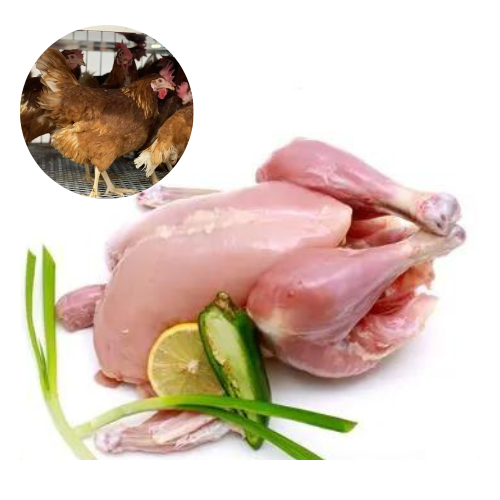 RED CHICKEN WITHOUT SKIN – MEAT (3.0LBS)