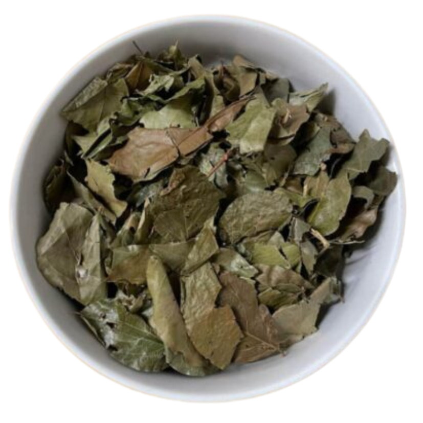 KINKELIBA LEAVES, KINKELIBA LOOSE TEA -QUINQUELIBA, SEHHAW, SEKHAW, DOUT? ORGANIC – GAMBIA AND SENEGAL BUSH TEA (0.3LBS)