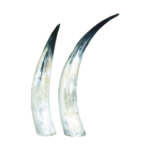 SET OF 2 LARGE HORN DECOR