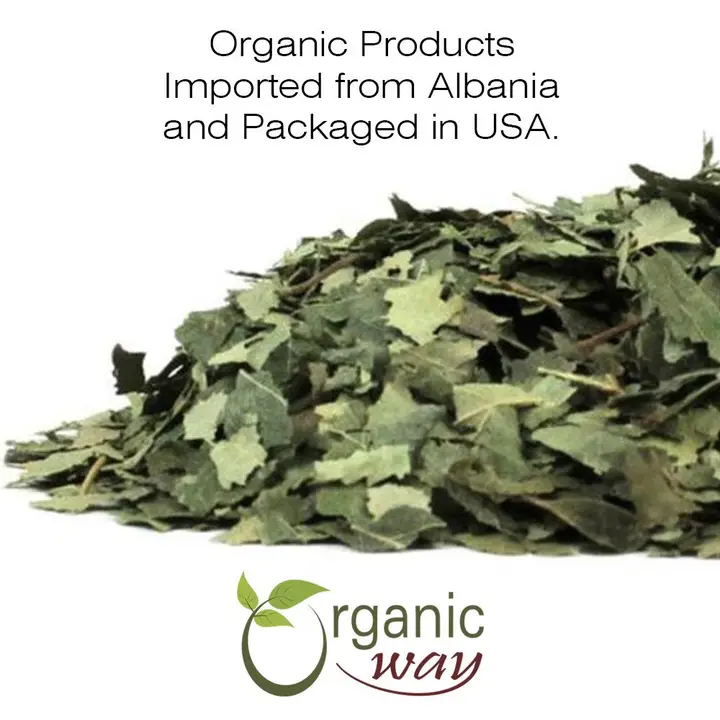 Organic Birch Leaf Whole – Usda Certified | Origin – Albania