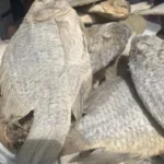 KOOBI/SALTED TILAPIA/ SALTED FISH – FROM GHANA (1.0LBS)