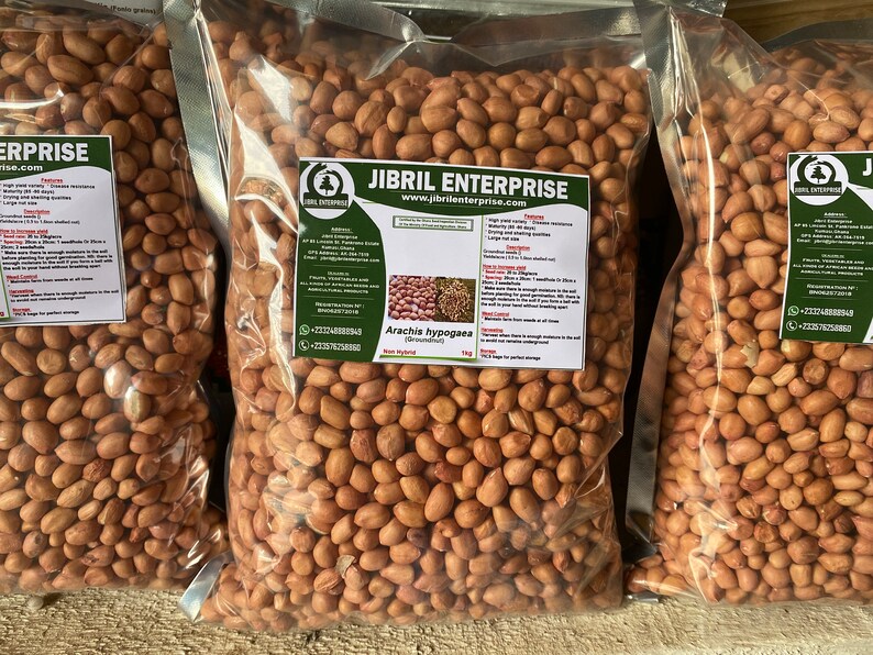 GHANAIAN GROUNDNUT SEEDS(ARACHIS HYPOGAEA ), NON HYBRID, HIGH YIELDING VARIETY, 200G/7 USD, SHIPPING COST 10 USD, PHYTO CERTIFICATE 12 USD (NANLBS)